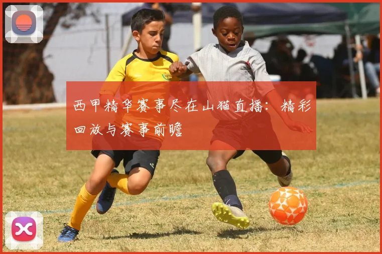 西甲精华赛事尽在山猫直播：精彩回放与赛事前瞻